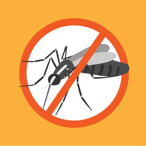 Mosquito bites and Zika 