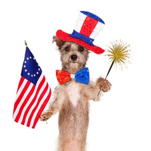 Dogs and the 4th of July